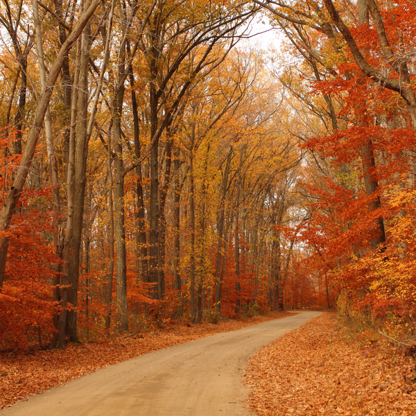 Fall
