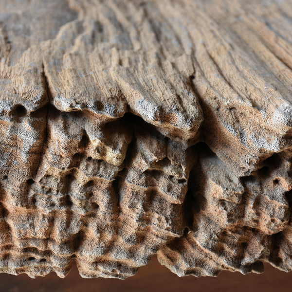 Caribbean Teakwood